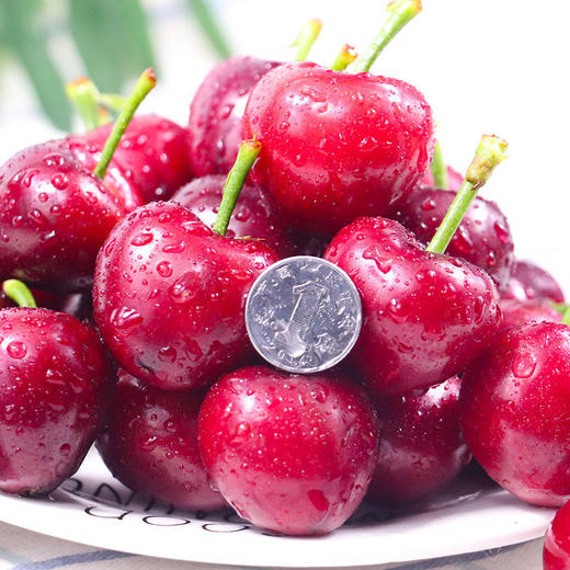 大连美早樱桃1盒500g/含包装 商品图11