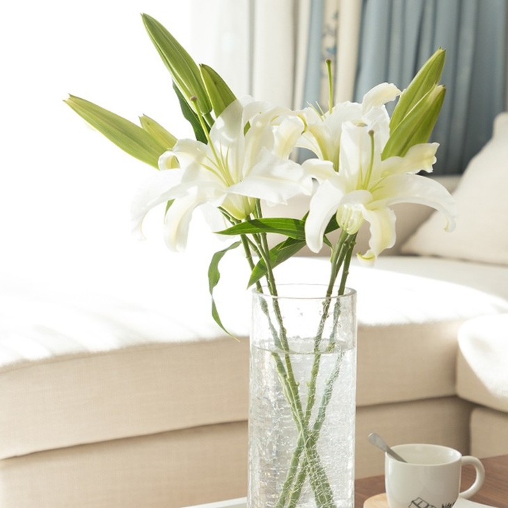 白色香水百合来袭清新茉莉上新 氧花er