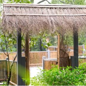 七星山“十里民宿”(需提前1周) 商品图1