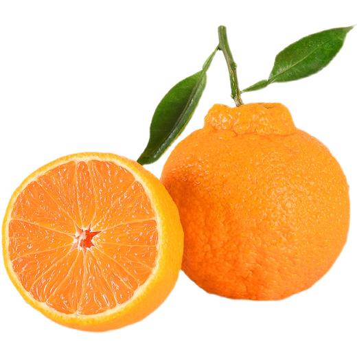 新鲜四川黄果柑 重约3斤【当天提货】 商品图1