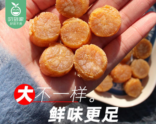 广州精选大元贝礼盒/1盒（100g）生产日期：12月15日左右补单专用 商品图2