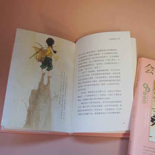 会唱歌的火炉 我们小时候精装珍藏版 迟子建散文随笔文集家长与孩子共读的名家文学散文精选集3000781 商品图4