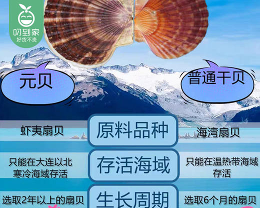 广州精选大元贝礼盒/1盒（100g）生产日期：12月15日左右补单专用 商品图4