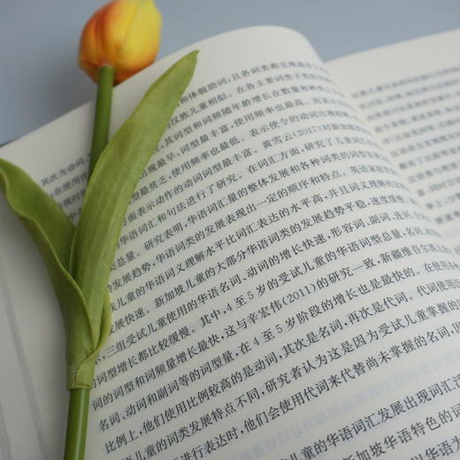 基于语料库的汉语儿童语言发展评价与监测研究 语言交往情境 国际儿童语料库数据存储和数据分析 理论研究 商品图3