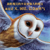 猫头鹰王国（全15册） 商品缩略图4
