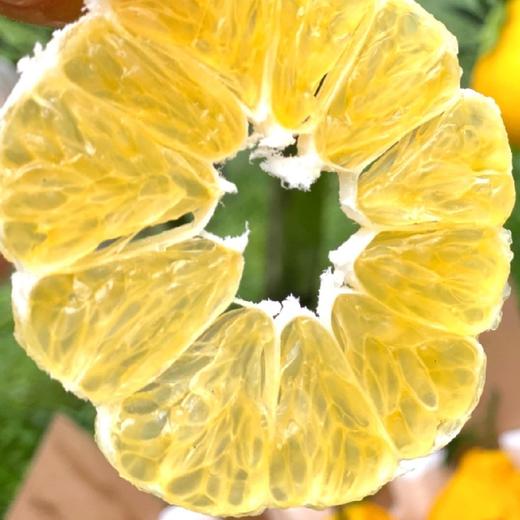 四川蒲江 柠檬不知火  5/8斤装 商品图6