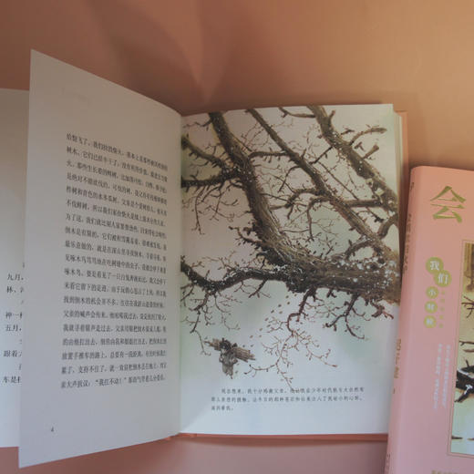 会唱歌的火炉 我们小时候精装珍藏版 迟子建散文随笔文集家长与孩子共读的名家文学散文精选集3000781 商品图5