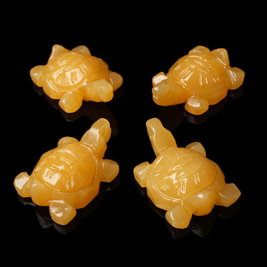 米黄玉玉龟 商品图1