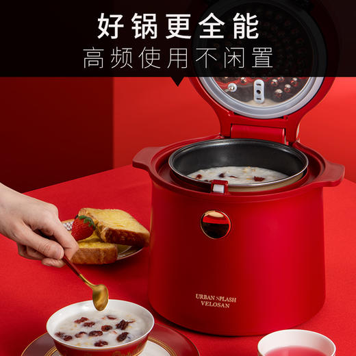 VELOSAN英国低糖电饭煲2L 商品图7