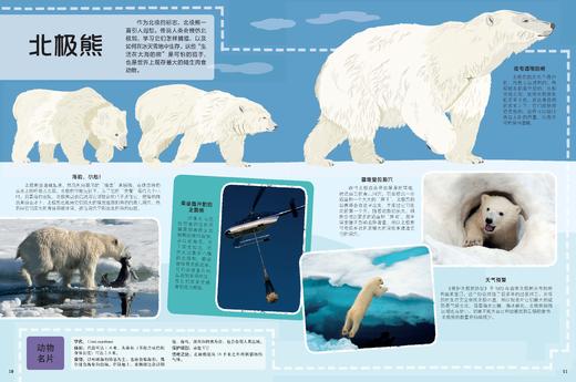 孤独星球·童书系列·环游世界大百科书盒 商品图2