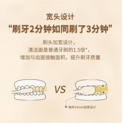 【抄底囤货|预售】朗利洁彩炭超细软毛牙刷 4支装/盒*5（送5个水杯） 商品图2