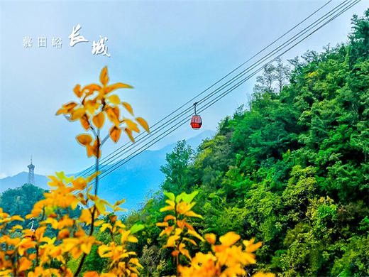 每天发团【慕田峪长城1日】5A景区国际范儿·慕田峪+颐和园+鸟巢水立方 商品图2