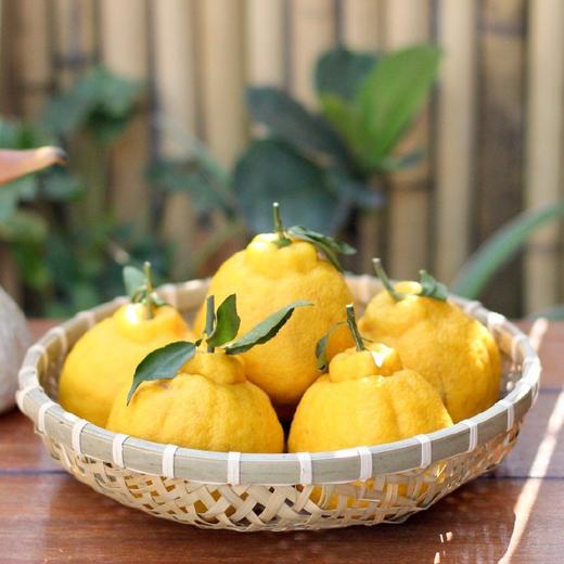 四川蒲江 柠檬不知火  5/8斤装 商品图11