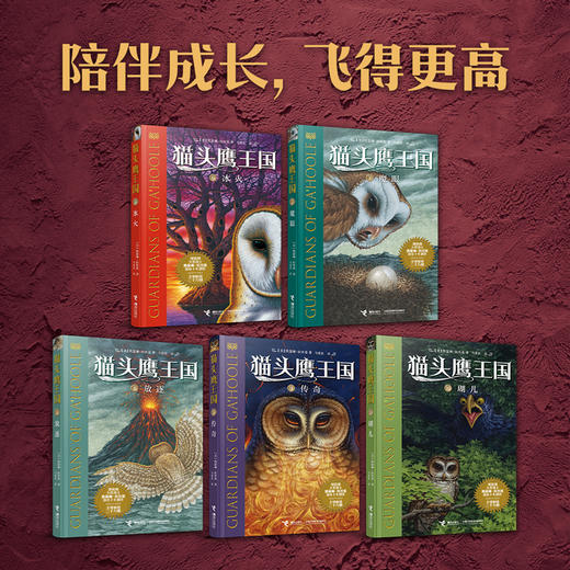 猫头鹰王国 商品图4