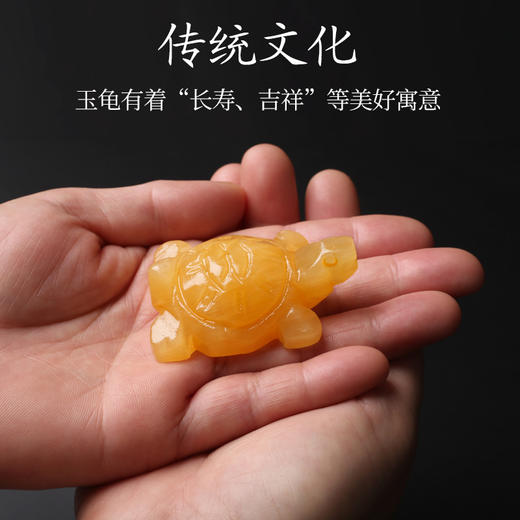 米黄玉玉龟 商品图0