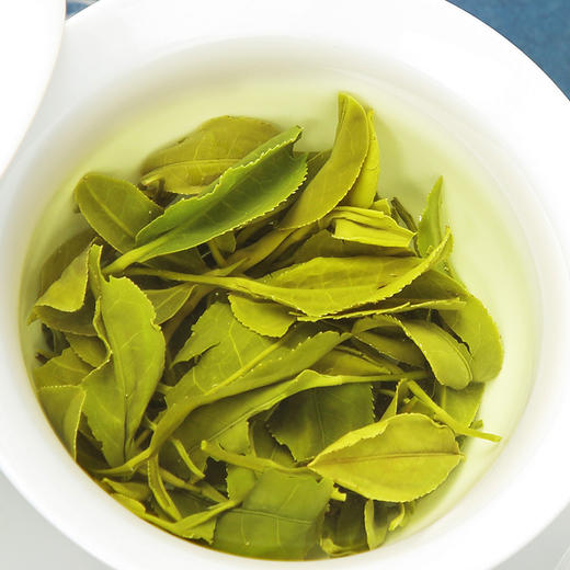 象窝绿茶 9号三星绿茶礼盒装 100克/盒 纯手工一芽二三叶 商品图11