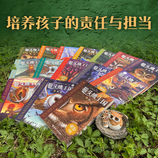 猫头鹰王国（全15册） 商品图5