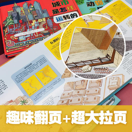 孤独星球·童书系列·万物运转的秘密书盒 商品图6