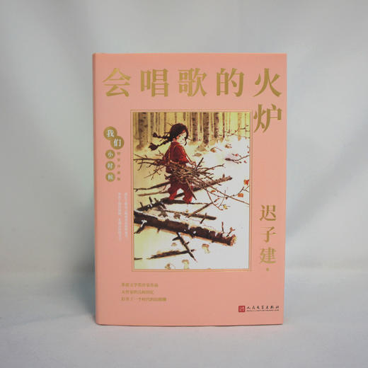 会唱歌的火炉 我们小时候精装珍藏版 迟子建散文随笔文集家长与孩子共读的名家文学散文精选集3000781 商品图2