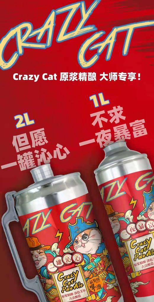 网红【疯狂猫】原浆精酿啤酒 商品图5