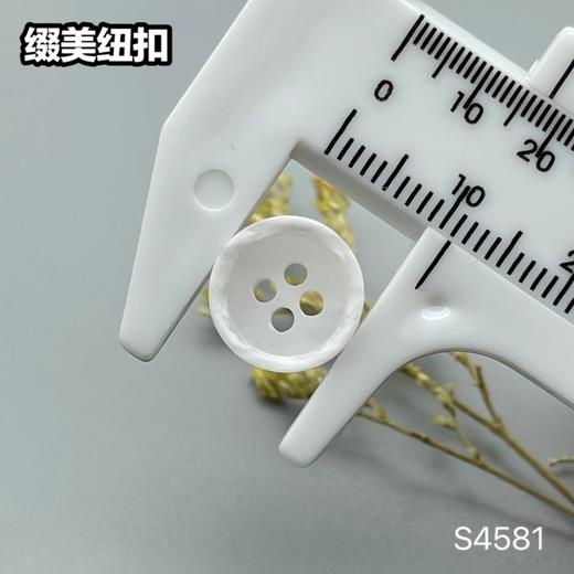 S4581(整包购买) 商品图7