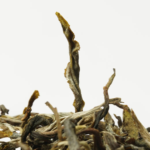 【邦崴】（不足10罐）2021年春茶云南普洱生茶茶叶普洱茶区300年古树纯料散茶 商品图2