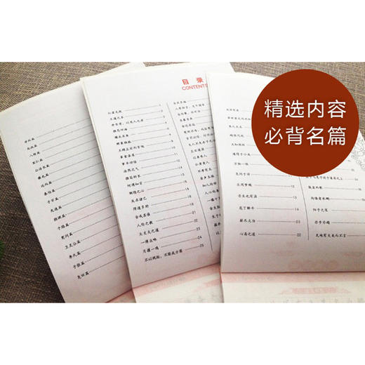 【会员福利】《论语》《庄子》《孟子》 三册国学硬笔楷书字帖套装  边学国学边练字 商品图4