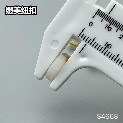 S4668(整包购买) 商品图4