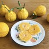四川蒲江 柠檬不知火  5/8斤装 商品缩略图12