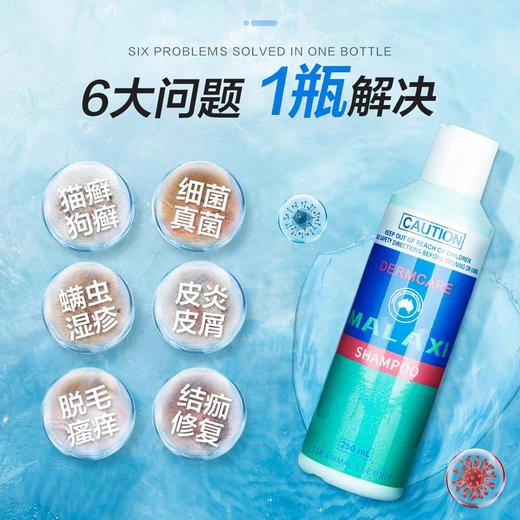 MALAXI麻辣洗药浴猫咪狗狗药浴皮肤病真jun猫藓宠物法斗猫癣沐浴露 商品图0