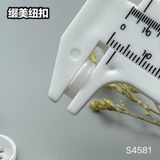 S4581(整包购买) 商品图8