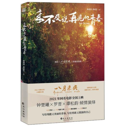来不及说再见的青春 商品图0