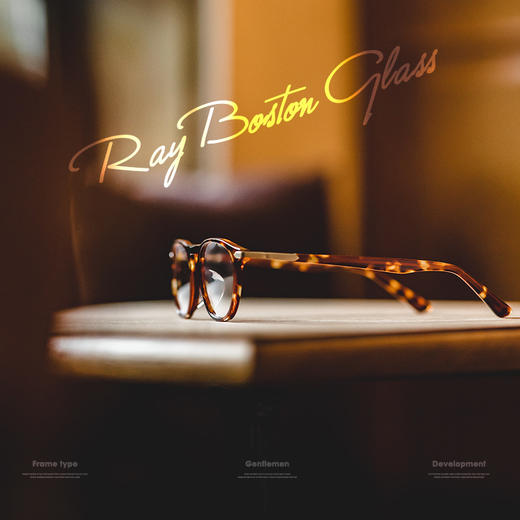 工装优选 玳瑁色超轻细框Boston眼镜圆形蝌蚪同款近视镜架男女潮 商品图2