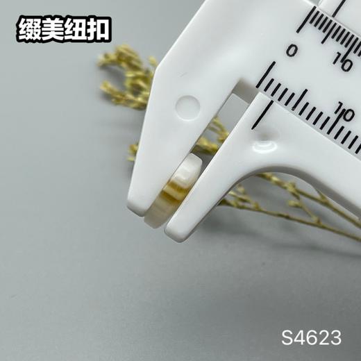 S4623(整包购买) 商品图7