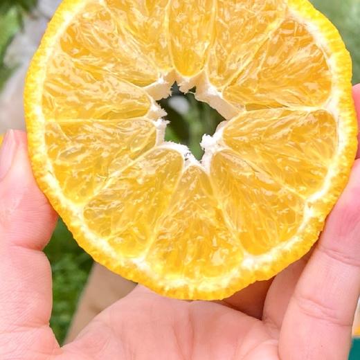 四川蒲江 柠檬不知火  5/8斤装 商品图10