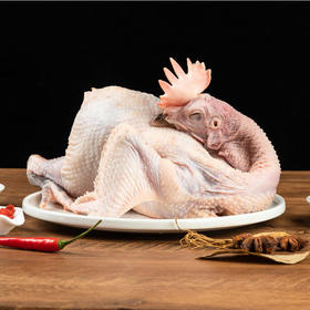 土鸡1.3-1.5KG左右|买一送一