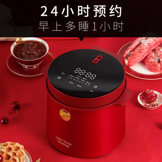 VELOSAN英国低糖电饭煲2L 商品图3