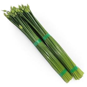 韭菜花 （约500g）