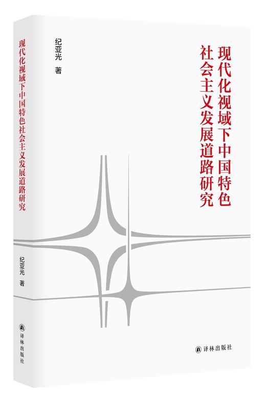 现代化视域下中国特色社会主义发展道路研究 商品图1