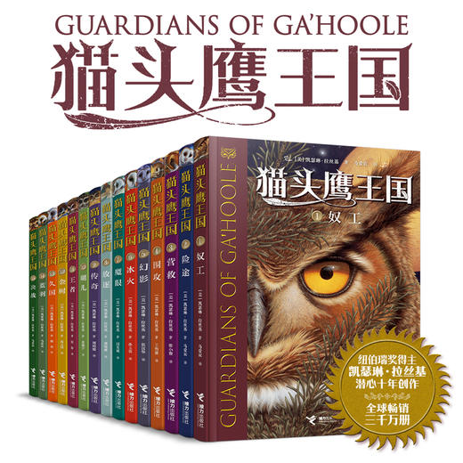 猫头鹰王国（全15册） 商品图0