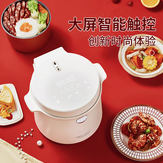 VELOSAN英国低糖电饭煲2L 商品图6