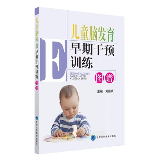2本套装 儿童运动发育迟缓康复训练图谱+儿童脑发育早期干预训练图谱 儿童护理康复训练 儿童运动发育书籍 北京大学医学出版社 商品图3