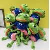 PEPE-青蛙玩偶靠垫 商品缩略图0