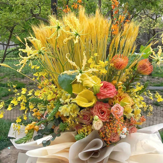 开业大吉 商品图2