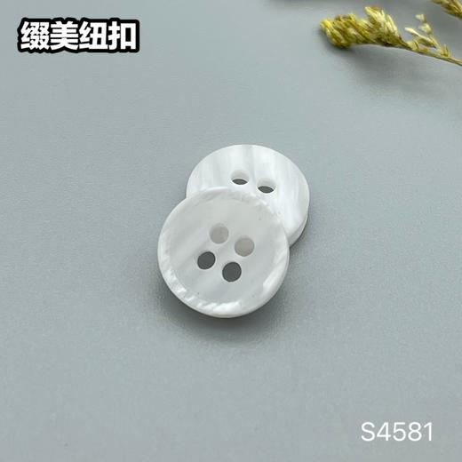 S4581(整包购买) 商品图1