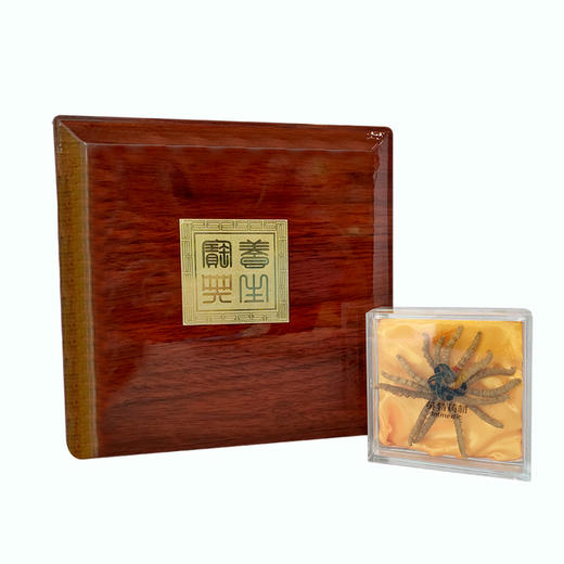 英特 冬虫夏草钱王精选琥珀礼盒 商品图0