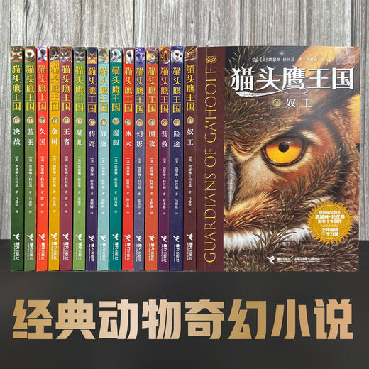 猫头鹰王国（全15册） 商品图1