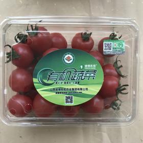 猗顿有机 圣女果（小西红柿） 西红柿5斤 可混搭基地的黄瓜发货 顺丰直发  山西猗顿农场