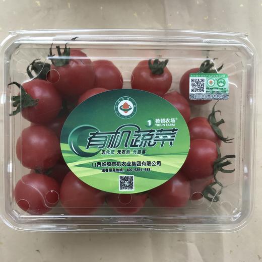 猗顿农场有机蔬菜套餐 可选：水果黄瓜，羽衣甘蓝，油菜 商品图2