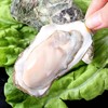 渔林军原浆半壳生蚝16只/袋烧烤食材 商品缩略图2
